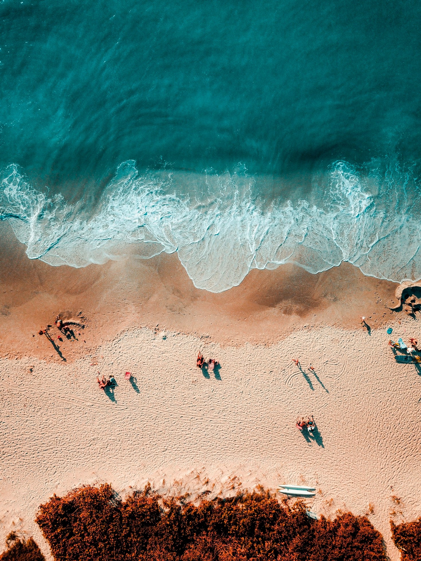 Consejos para planificar tu visita al club de playa
